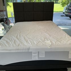 TwinXL Adjustable Bed