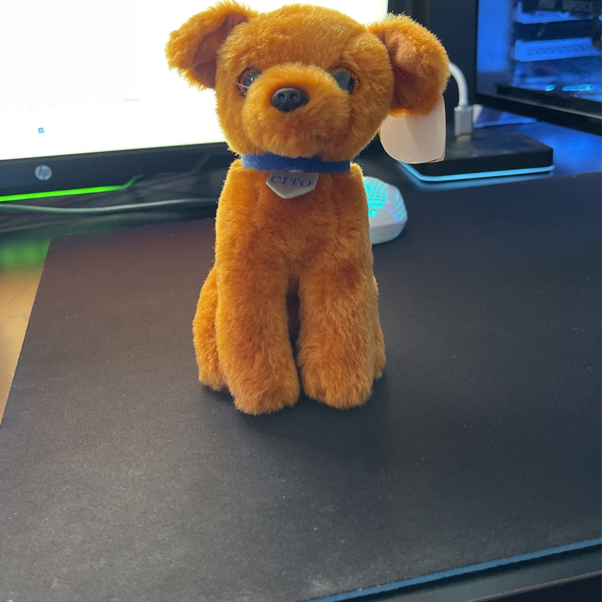 RARE TY Beanie baby CITO the Rescue Dog Montecito Mudslide (CHEAP)