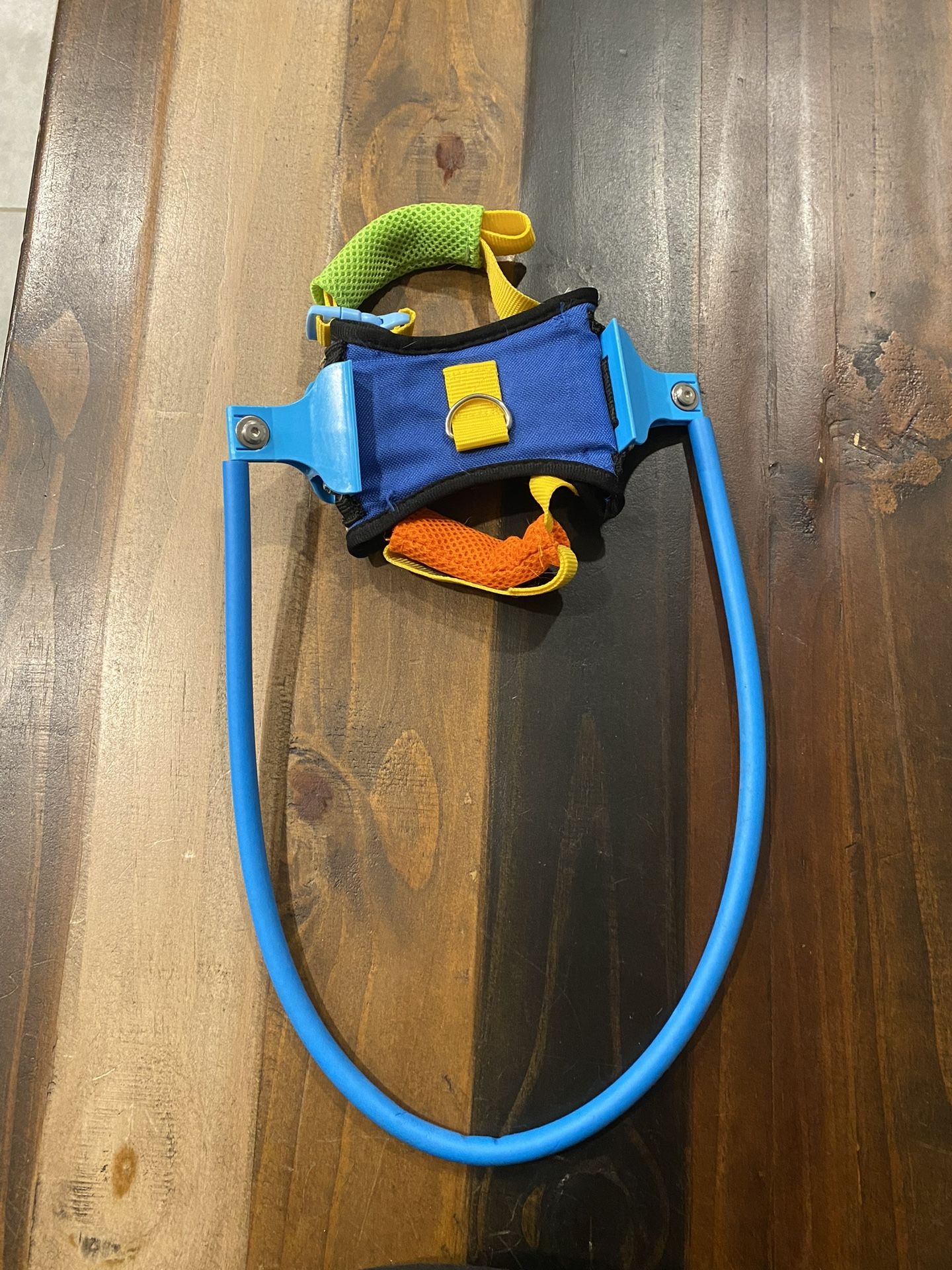 Guiding Harness For Blind Pet