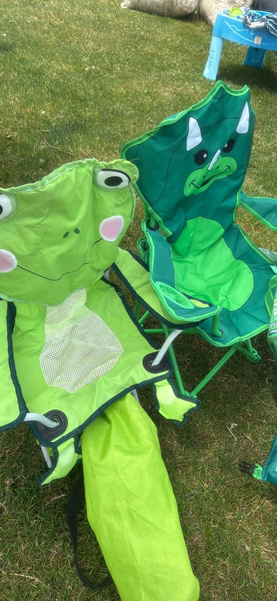 2 Camping Chairs For Kids $20 Each Frog And Dinosaur