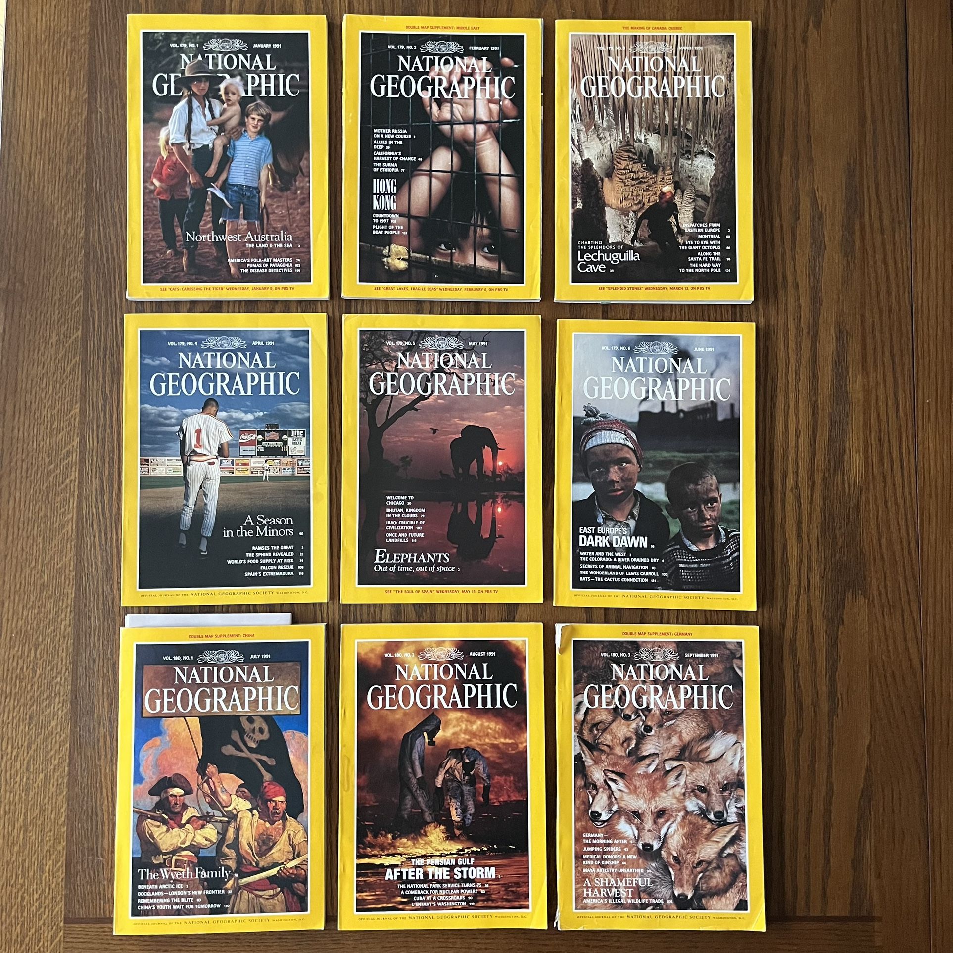 National Geographic 1991 Set Of 9 Issues 2 Supplements Vintage