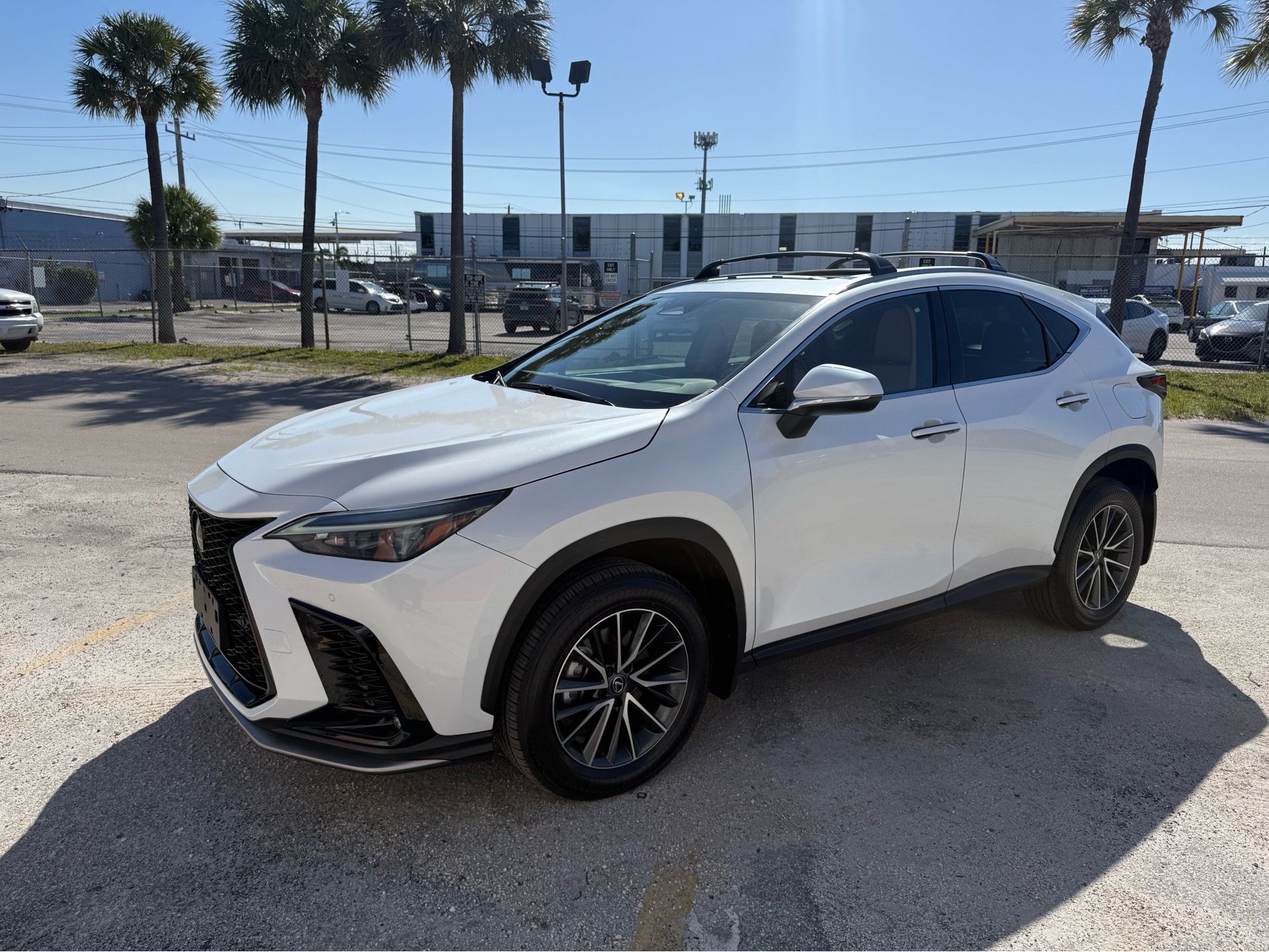 2025 Lexus NX
