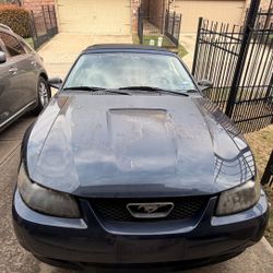2001 Ford Mustang Convertible V6