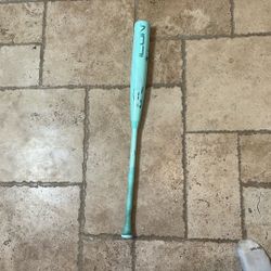 2026 Rawlings Icon 34 Inch Bbcor Bat