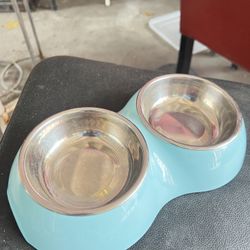 Dog Food Tray