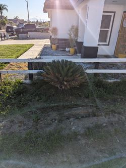 Canceled Post