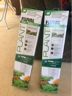 Fluval plant 4.0