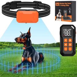 Dog Collar
