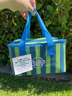 Trader Joe's Striped Mini Insulated Bag - Blue & Green Stripes