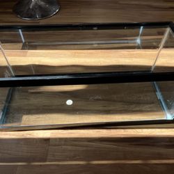 20 Gallon Fish Tank