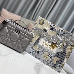 Everyday Dior Caro Bag 