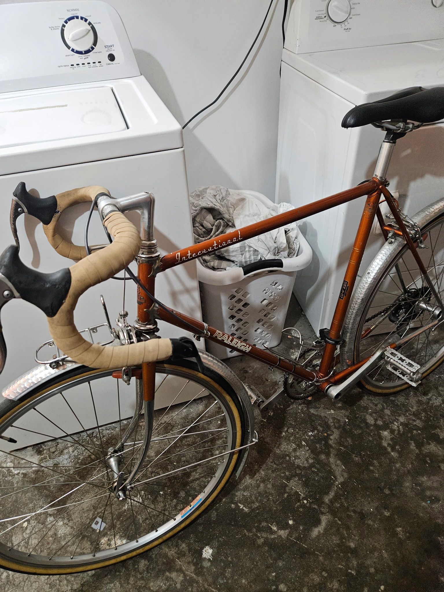Rare 1974 Raleigh Carlton International Road Bike 24.5" Size 54 Cm