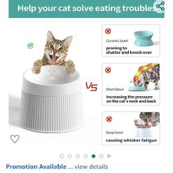 New Cat Bowl Get A Cat Toys For Free