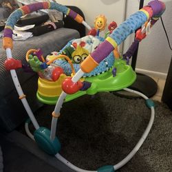 Baby Einstein jumper