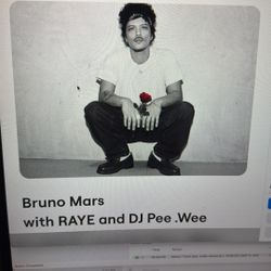 Two Tickets, Bruno Mars Concert