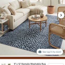 Washable Rug 9x12