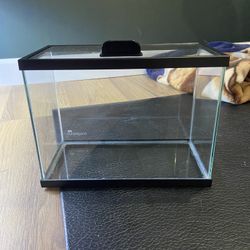 2.5 Gallon tank with lid