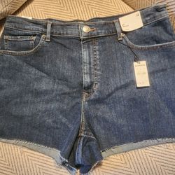 Womens Express  Shorts