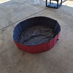 Dog Pool