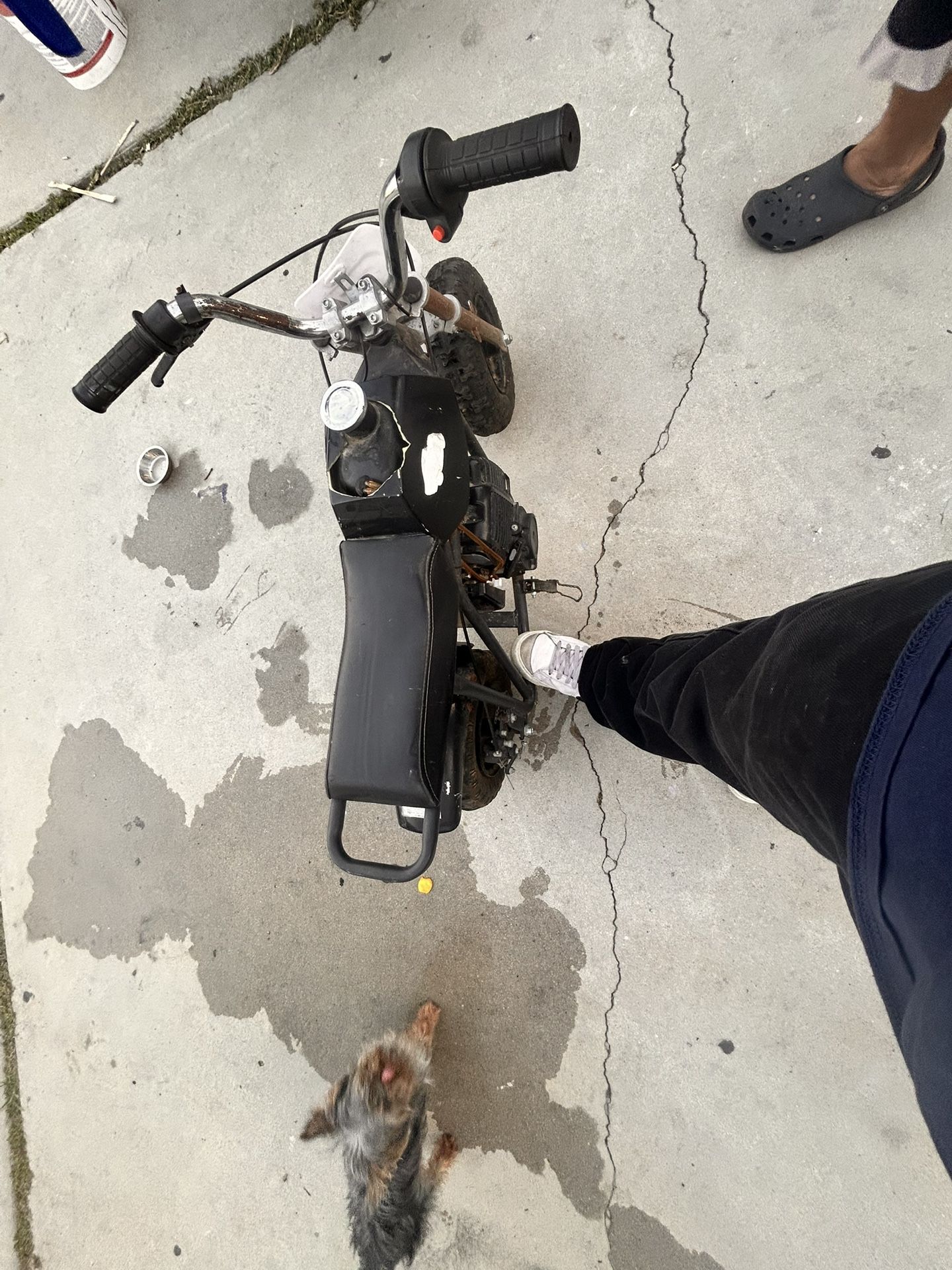 Mini Motor Bike🏍️