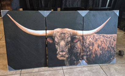 3 Piece Canvas
