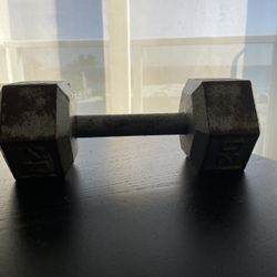 20 Lbs Dumbbell 