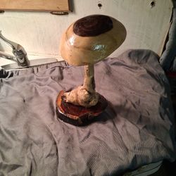 Mushroom Arrangement 