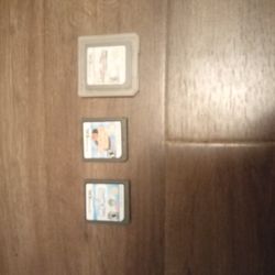 Nintendo DS Games