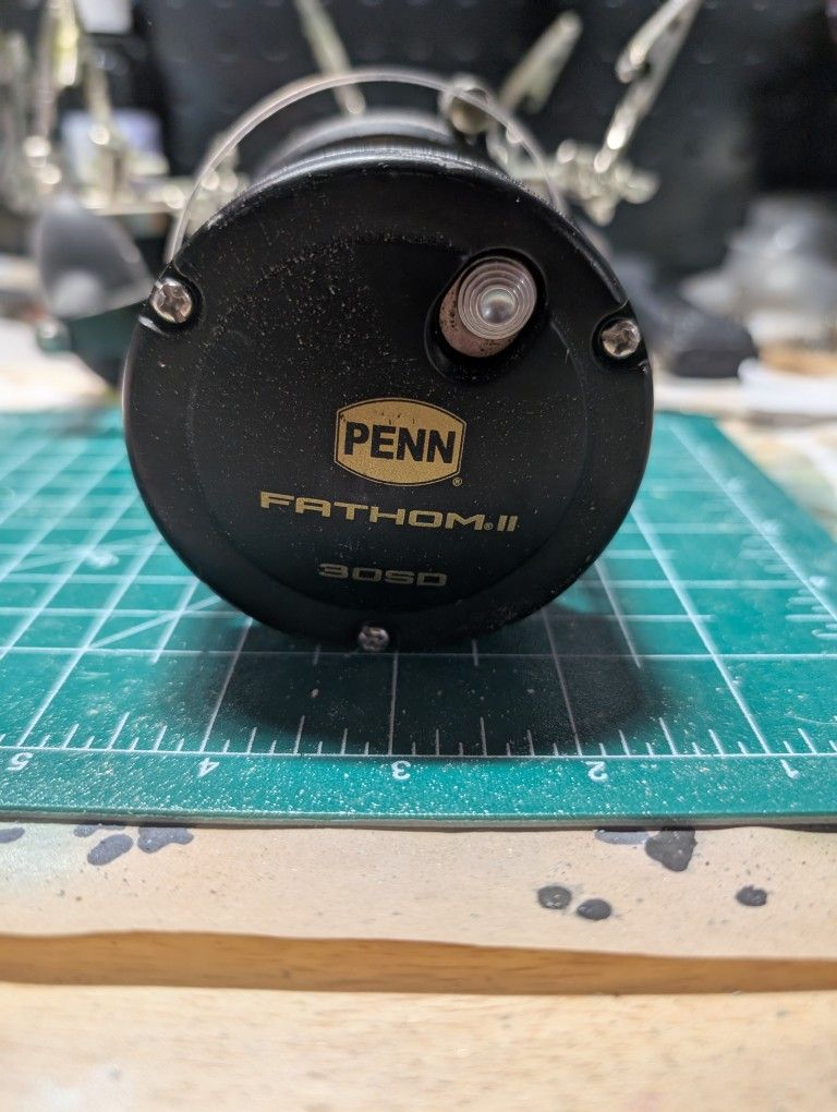 Penn Fathom 30