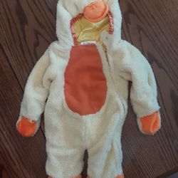 Duck Costume
