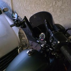 2025 Harley Davidson Street Bob