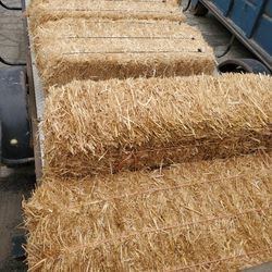 Five Bales Of Straw