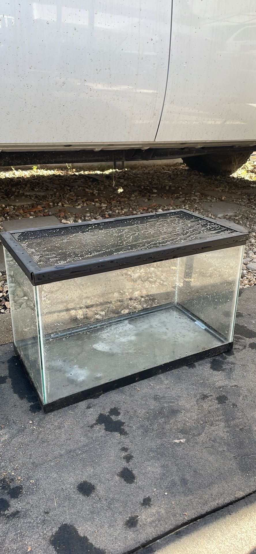 Reptile Or Fish Tank (2 Available) $10 Each Terrarium