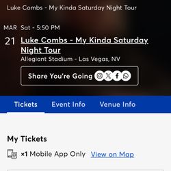 Luke Combs Concert 