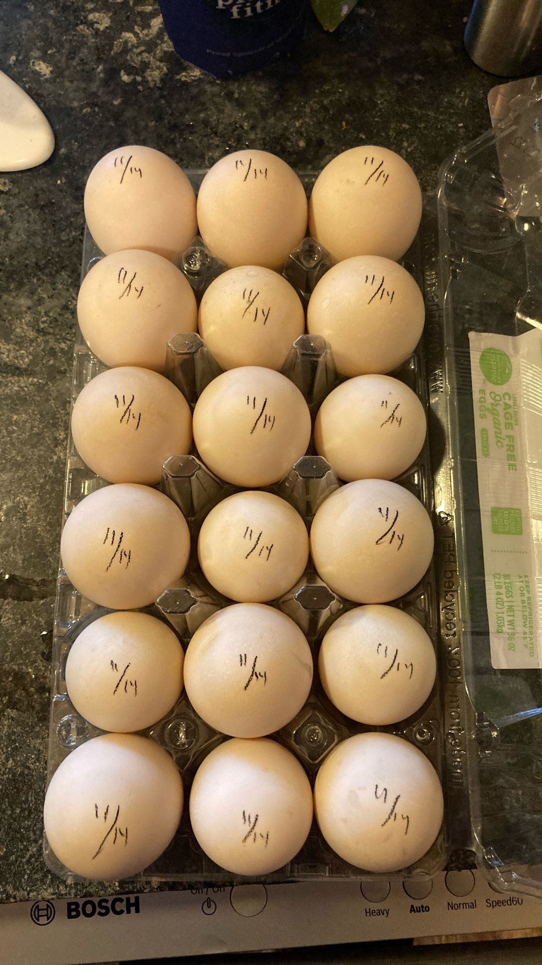 Fresh Duck Eggs XL Jumbo Size 18 Pack Organic Fed