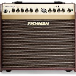 Acoustic Guitar Amplifier 