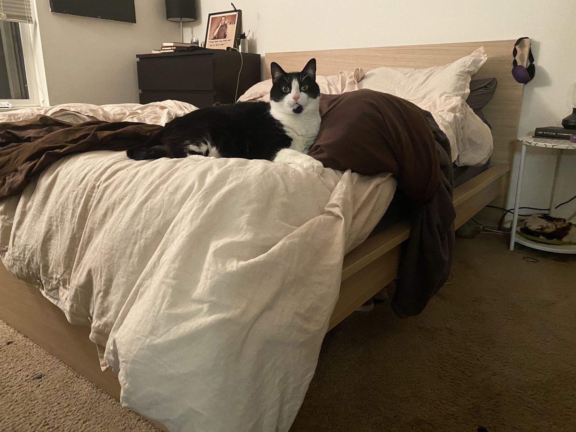 MALAM IKEA QUEEN BED