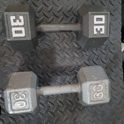 30lbs Dumbells Weights 