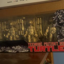 Tmnt 2008 Neca Mirage