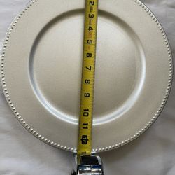 Silver Chargers  — 100