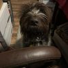 Hill Estate