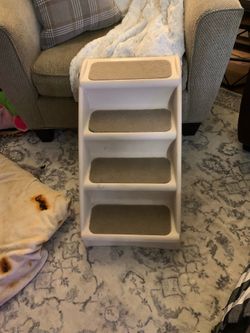 Pet steps