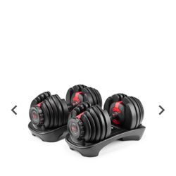 BowFlex SelectTech 552 Adjustable Dumbbells  