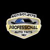 Professional Auto Tint’s