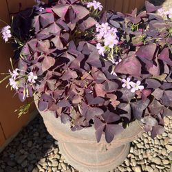 Indoor And Outdoors 