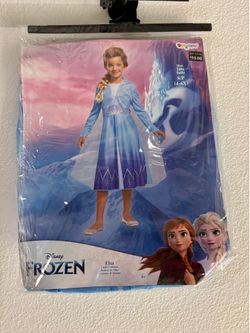Disney princes Elsa costume