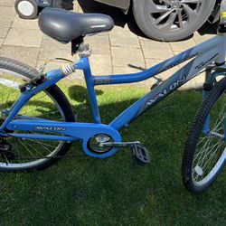 Avalon Seven Speed Comfort, Serious Bike, Great Condition 