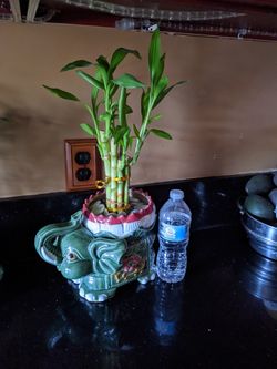 Big bamboo elephant