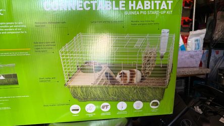 Guinea pig start up kit