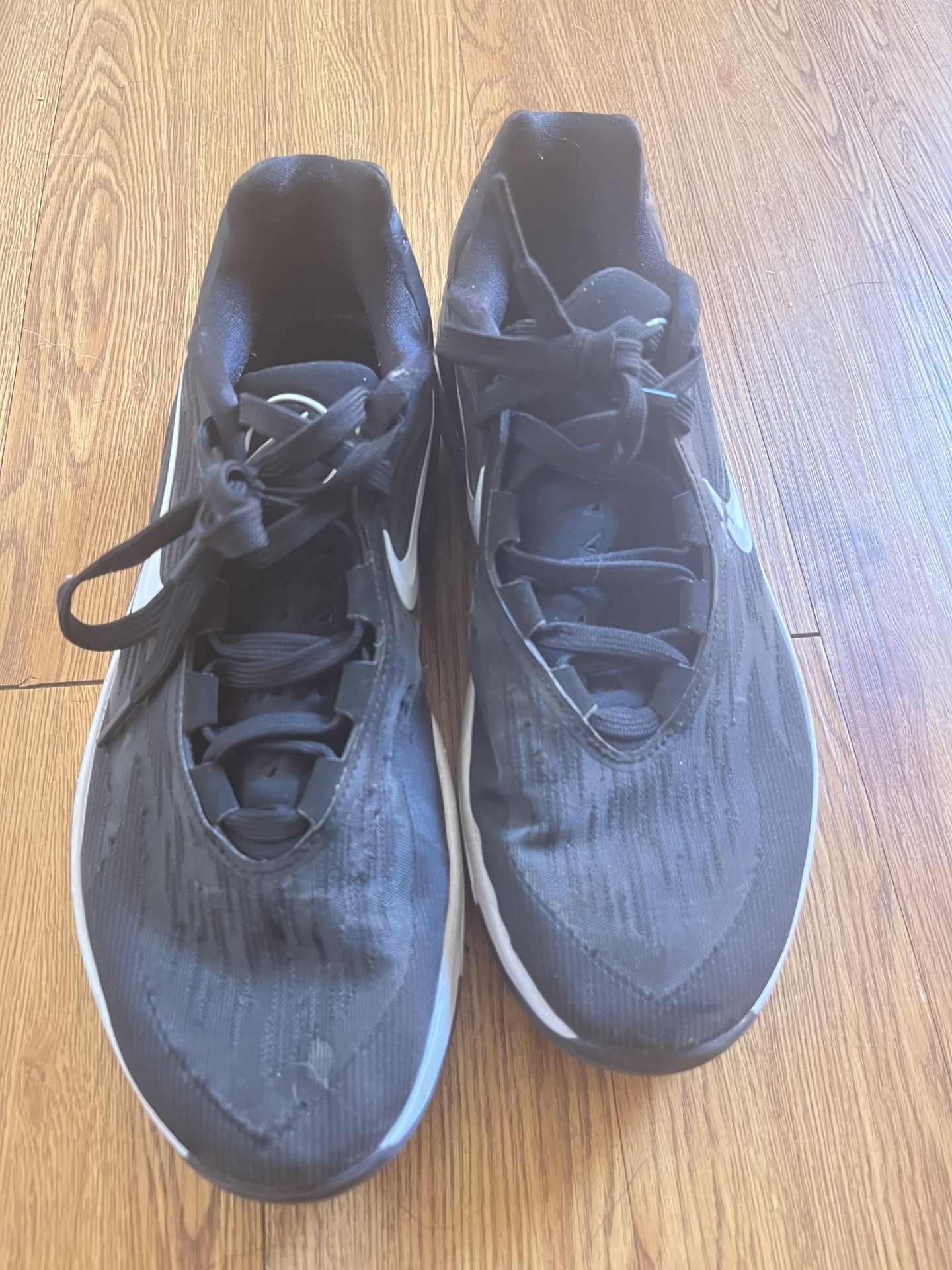 nike air zoom hoop shoes